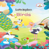 lets-explore-birds